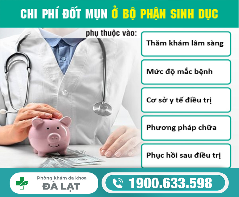 Hình ảnh minh họa